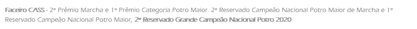 Faceiro CASS - 2º Prêmio Marcha e 1º Prêmio Categoria Potro Maior. 2º Reservado Campeão Nacional Potro Maior de Marcha e 1º Reservado Campeão Nacional Potro Maior, 2º Reservado Grande Campeão Nacional Potro 2020