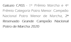 Gatuzo CASS - 1º Prêmio Marcha e 4º Prêmio Categoria Potro Menor. Campeão Nacional Potro Menor de Marcha, 2º Reservado Grande Campeão Nacional Potro de Marcha 2020