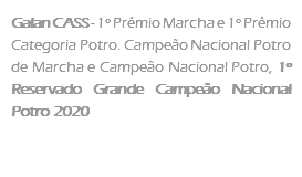 Galan CASS - 1º Prêmio Marcha e 1º Prêmio Categoria Potro. Campeão Nacional Potro de Marcha e Campeão Nacional Potro, 1º Reservado Grande Campeão Nacional Potro 2020